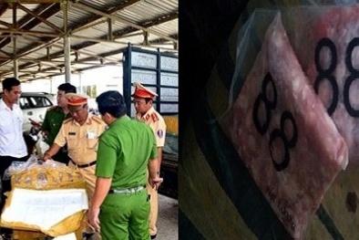 Sụn gà không rõ nguồn gốc bị tóm sống trước khi 'cập bến' nhà hàng