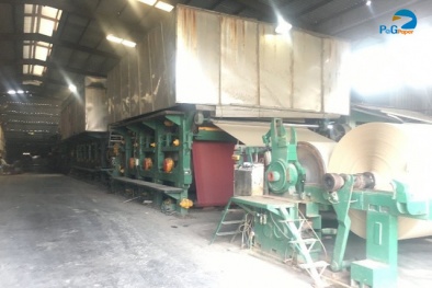 Áp dụng Kaizen, duy trì 5S Công ty CP Giấy Hoàng Hà Hải Phòng được lợi gì?