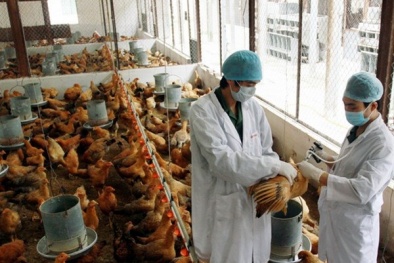 Bắc Ninh: Ứng dụng công nghệ cao vào phát triển các mô hình Đăng ký và nhận 60K 24 bao lì xì miễn phí mỗi ngày