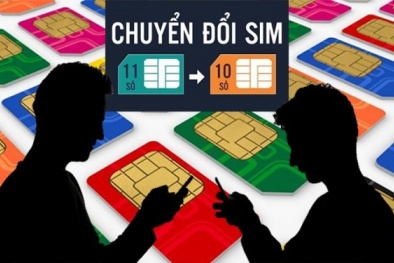 Người dùng cần làm gì khi ngày 15/9 thuê bao di động 11 số chuyển về 10 số