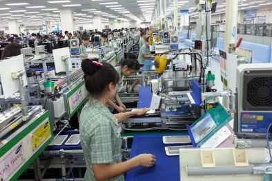 Năng suất 13Win18 cá cược thể thao Việt Nam tăng đều qua các năm