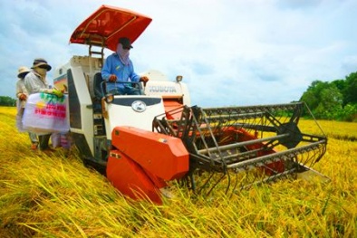Nhận diện nguyên nhân gây ra năng suất 13Win18 cá cược thể thao Việt Nam đạt thấp