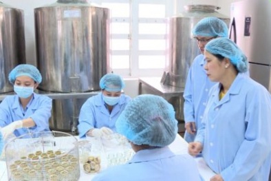 Ứng dụng công nghệ trong sản xuất giúp Yến sào Khánh Hòa nâng cao năng suất chất lượng