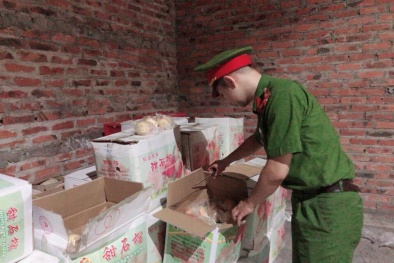 Thu giữ hoa quả tươi nhập lậu từ vùng biên về nội địa tiêu thụ