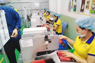 Nâng cao năng suất 13Win18 cá cược thể thao cho Link Đăng Nhập Nhà cái 13Win16.Com nhỏ và vừa ở TP. HCM