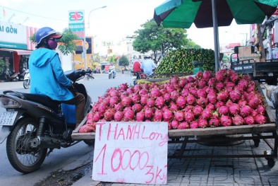 Hàng loạt siêu thị bắt đầu tham gia chiến dịch 'giải cứu' thanh long