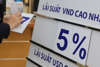 Lãi suất ngân hàng tháng 10/2018: Nhà băng nào có mức cao nhất ở kì hạn ngắn?