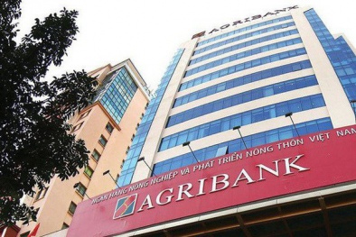 9 mảnh đất 'nợ xấu' tại TP.HCM đang được Agribank rao bán giá 'khủng' hơn 300 tỷ đồng
