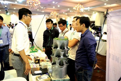 Cân bằng tâm thế trong gọi vốn khởi nghiệp