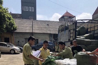 Nhập lậu giầy nhái nhãn hiệu nổi tiếng về Việt Nam tiêu thụ 