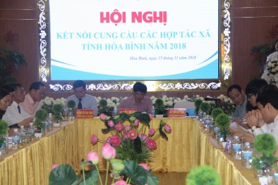 Xúc tiến 13Win19 tải ứng dụng hợp tác xã là then chốt quan trọng để đẩy mạnh cung cầu