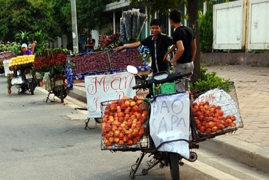 Nông sản, thuỷ sản mập mờ xuất xứ 'đội lốt' hàng Việt sẽ hết đất sống?