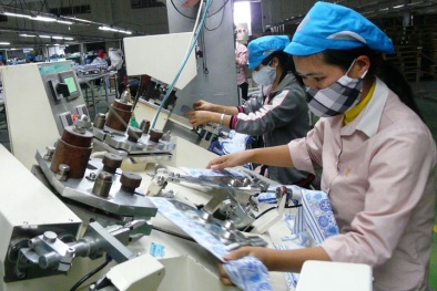 Tăng 15% năng suất sau một năm áp dụng hệ thống quản lý tích hợp ISO 9001 – ISO 14000