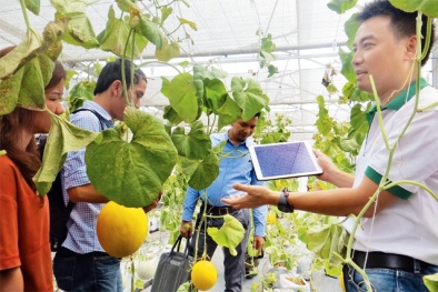Startup trẻ khởi nghiệp trong Đăng ký và nhận 60K 24 bao lì xì miễn phí mỗi ngày phải chọn bản sắc vùng miền và tính toán thông minh