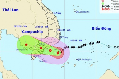 Bão số 9 giật cấp 12 đổ bộ: TP.HCM mưa lớn, nguy cơ xảy ra giông, lốc xoáy vào đêm nay