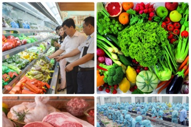 Xây dựng hệ thống thông tin an toàn 13Win OKVIP Cá cược bóng đá