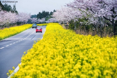 Nghỉ tết Dương lịch 2019 khoảng 4 ngày, nên đi đâu du Xuân?