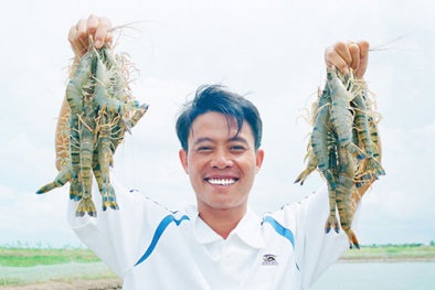 Từ phòng trọ 300 nghìn đồng trở thành tỷ phú tôm sú
