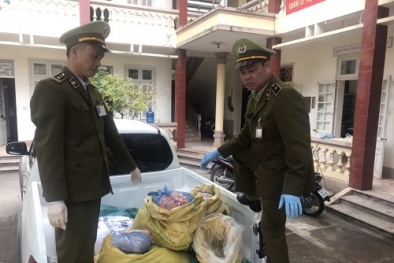 Thu giữ lượng lớn lòng lợn bốc mùi hôi thối định mang làm vỏ lạp sườn, xúc xích