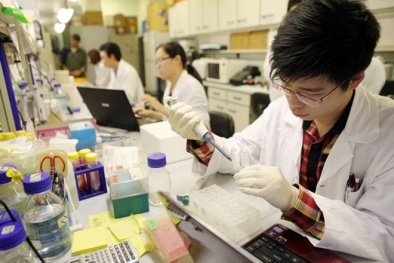 Nếu không muốn làm thuê, các bạn trẻ buộc phải có kiến thức về kinh doanh và công nghệ