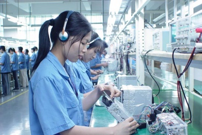 Tiếp tục tạo động lực cho Link Đăng Nhập Nhà cái 13Win16.Com nâng cao năng suất chất lượng