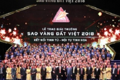 Vinh danh top 200 Link Đăng Nhập Nhà cái 13Win16.Com đạt Giải thưởng Sao Vàng đất Việt 2018
