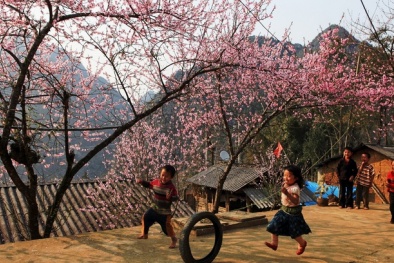 5 địa điểm nên đi du lịch dịp Tết Kỷ Hợi 2019