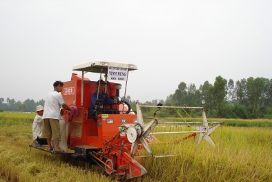 Tổng cục TCĐLCL giải đáp khúc mắc của nông dân về điều kiện vay mua máy Đăng ký và nhận 60K 24 bao lì xì miễn phí mỗi ngày