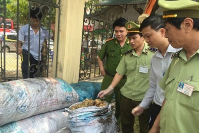 Lào Cai: Thu giữ 700kg 13Win OKVIP Cá cược bóng đá bẩn đang trong quá trình phân hủy