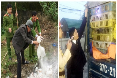 Tuồn lượng lớn gà không rõ nguồn gốc đã bốc mùi hôi thối vào Hà Tĩnh tiêu thụ