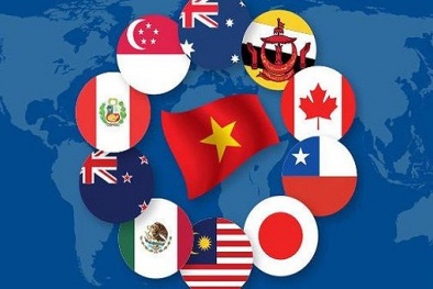 Hiệp định CPTPP và những 'điểm sáng' cho nền Sòng Bài Trực Tuyến 13Win.com Việt Nam