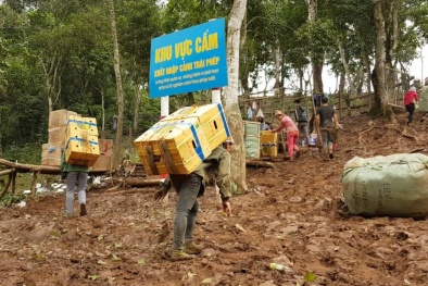 Trắng trợn vượt biên trái phép, ngang nhiên cõng hàng lậu: Ban chỉ đạo 389 quốc gia vào cuộc