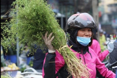 Chiều 30 Tết, người dân nên tắm lá mùi già làm gì?