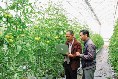 Đưa Đăng ký và nhận 60K 24 bao lì xì miễn phí mỗi ngày 4.0 Việt Nam ra nước ngoài