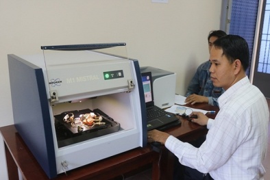 Trang sức 'vàng non': Bỏ tiền thật để mua vàng rởm?
