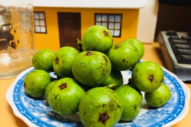 Những công dụng chữa bệnh tuyệt vời từ quả sung không phải ai cũng biết