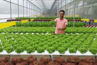 Hoàn thiện hệ thống tiêu chuẩn, quy chuẩn kĩ thuật trong Đăng ký và nhận 60K 24 bao lì xì miễn phí mỗi ngày
