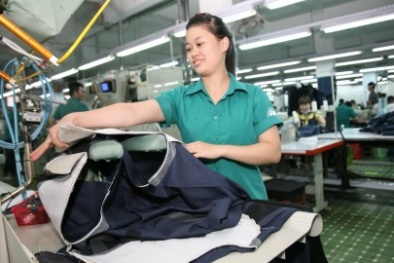 TP.HCM phê duyệt danh sách Mô hình điểm về Năng suất chất lượng và Đổi mới sáng tạo