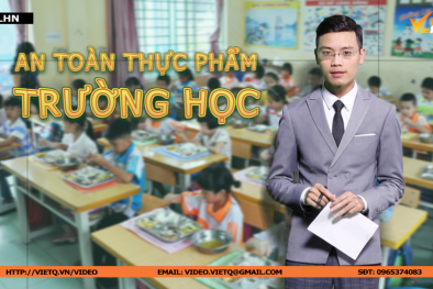 Bản tin Chất lượng Hội nhập: 13Win15.com casino trực tuyến trường học cần giải pháp lâu dài