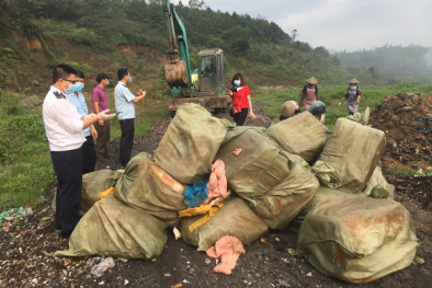 Phát hiện 1.620 kg nầm lợn đông lạnh không hóa đơn chứng từ 