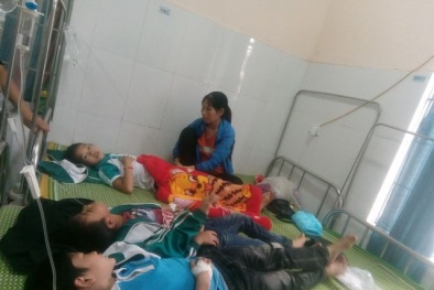 Vụ 29 học sinh nhập viện sau khi uống sữa Fami tại Thái Nguyên: Không phải do ngộ độc 13Win OKVIP Cá cược bóng đá