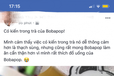 Sau ‘lùm xùm’ trà sữa có thạch sùng, lại thêm người dùng 'tố' trà sữa Bobapop có kiến