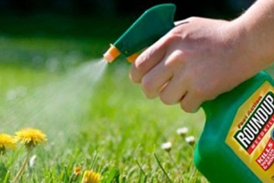 Nguy cơ gây ung thư, hoạt chất glyphosate được loại bỏ khỏi thuốc bảo vệ 13Win19 thể thao, đá gà, bắn cá, game bài, nổ hũ