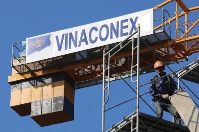 Vì sao Vinaconex phải hoãn họp đại hội cổ đông thường niên?