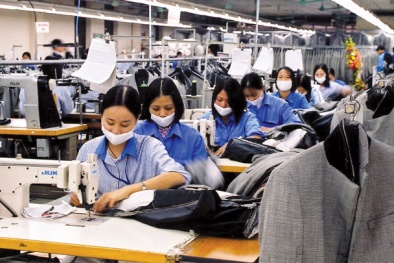 Tăng doanh thu và lợi nhuận từ 30% đến 50% nhờ áp dụng ISO 9001:2015