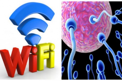 Nhật Bản cảnh báo: Sóng wifi có thể khiến đàn ông khó có con