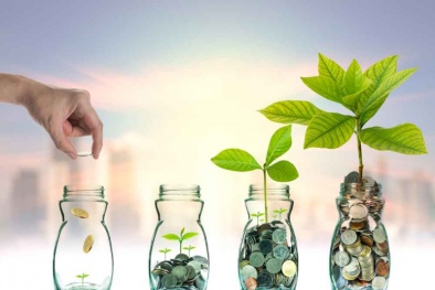 Bí mật cách kiếm tiền của người giàu: Không để đồng tiền 'nằm bất động'