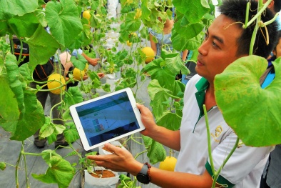 Cần thúc đẩy hơn nữa đổi mới sáng tạo trong Link Đăng Nhập Nhà cái 13Win16.Com Đăng ký và nhận 60K 24 bao lì xì miễn phí mỗi ngày