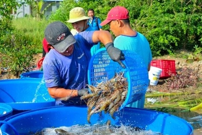 Từ 5/7, vi phạm Đăng ký 13Win ngay nhé trong lĩnh vực thủy sản bị phạt tới 1 tỷ đồng