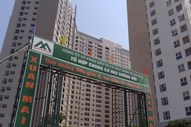 Tái xuất 'chứng trường' kéo theo khoản nợ khổng lồ, nhà đầu tư còn tin tưởng Xuân Mai Corp?